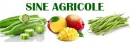 SINE AGRICOLE