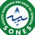 SOCIETE NATIONALE DES EAUX DU SENEGAL