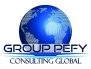 GROUP PEFY-CONSULTING GLOBAL
